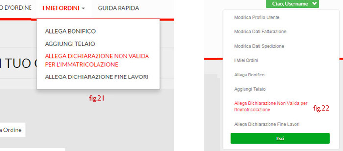 Allega Dichiarazione Non Valida per L'Immatricolazione