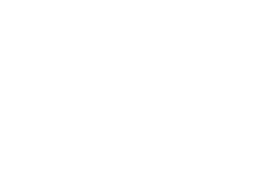 anfia_1